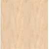 Edge Band White Birch 7/8